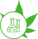 Product Development Support